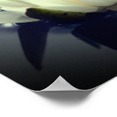 Lotus Blossom Poster (Ecke)