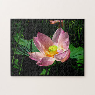 Lotus Blossom Puzzle