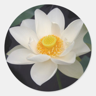 Lotus Blossom Runder Aufkleber