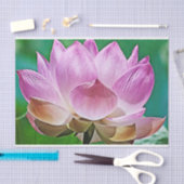 Lotus blossom seidenpapier (Handwerk)
