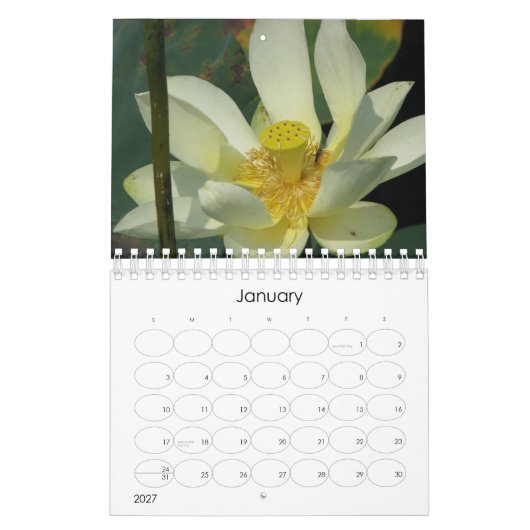 Lotus Blume 2008 Kalender (Jan 2027)