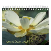 Lotus Blume 2008 Kalender (Titelbild)