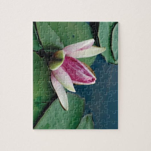 Lotus Blume 8x10 Foto Puzzle mit Geschenkboxen (Vertikal)