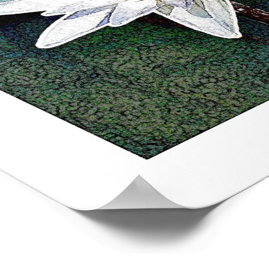 LOTUS BLUME ART POSTER (Ecke)