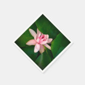 Lotus Blume Blossom Foto Grünes Blattwerk Serviette (Ecke)