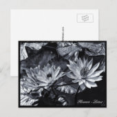 Lotus Blume, Blumengarten / Asien Postkarte (Vorne/Hinten)