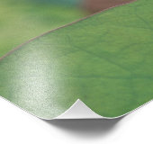 Lotus Blume bud, Hangzhou, Provinz Zhejiang Fotodruck (Ecke)