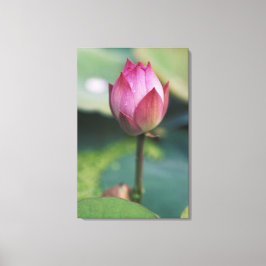 Lotus Blume bud, Hangzhou, Provinz Zhejiang Leinwanddruck