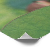 Lotus Blume bud, Hangzhou, Provinz Zhejiang Poster (Ecke)