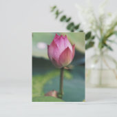 Lotus Blume bud, Hangzhou, Provinz Zhejiang Postkarte (Stehend Vorderseite)