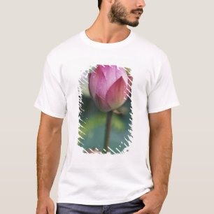 Lotus Blume bud, Hangzhou, Provinz Zhejiang, T-Shirt