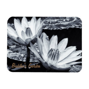 Lotus Blume & Buddhas Geheimgarten /Meditation Magnet