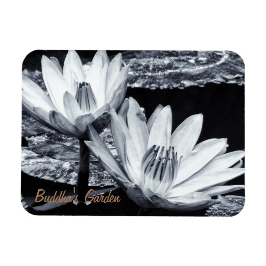 Lotus Blume & Buddhas Geheimgarten /Meditation Magnet (Horizontal)