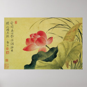 Lotus Blume Chinesisch Fine Art Poster
