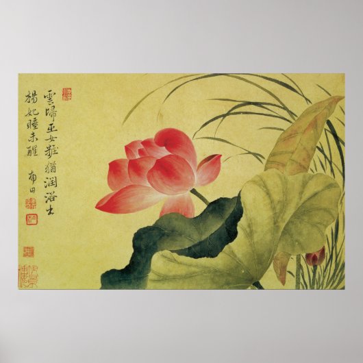 Lotus Blume Chinesisch Fine Art Poster (Vorne)