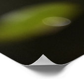 Lotus (Blume der Wasserlilie) Poster (Ecke)