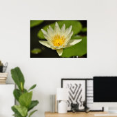 Lotus (Blume der Wasserlilie) Poster (Heimbüro)