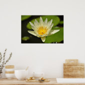 Lotus (Blume der Wasserlilie) Poster (Küche)