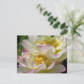 Lotus Blume Duet Postkarte (Stehend Vorderseite)