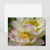 Lotus Blume Duet Postkarte (Vorne/Hinten)