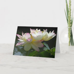 Lotus Blume Duett Karte