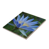 Lotus-Blume Fliese (Seite)