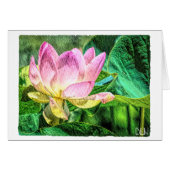 Lotus Blume/Florenz (Vorderseite (Horizontal))