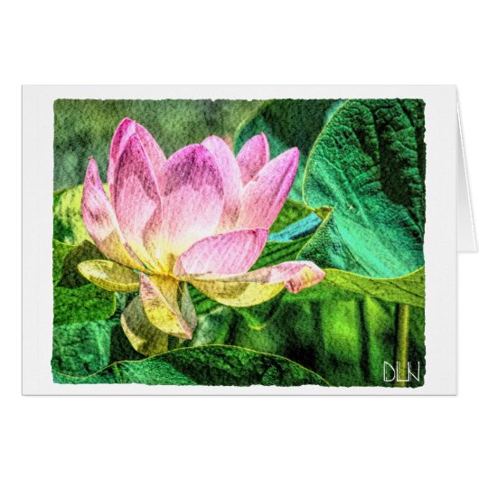 Lotus Blume/Florenz (Vorderseite (Horizontal))