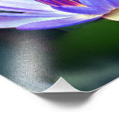 Lotus Blume Foto Print (Ecke)