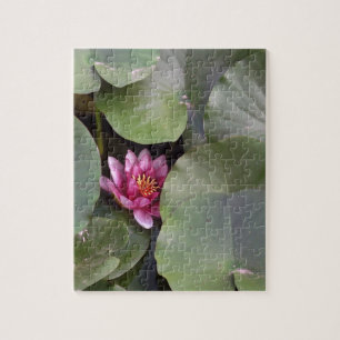 Lotus Blume Foto Puzzle