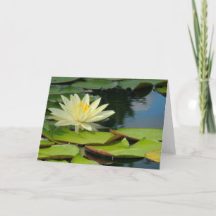 Lotus-Blume (Fotograf) mit Buddha-Zitat innen Karte