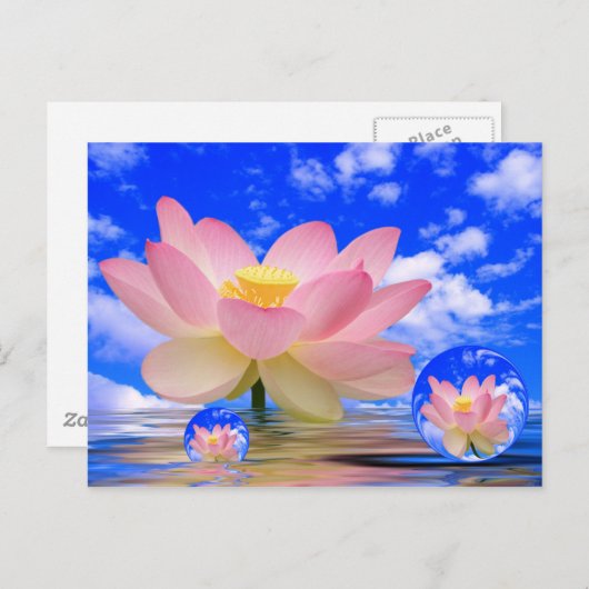 Lotus Blume Geboren in Wasser Postkarte (Vorne/Hinten)