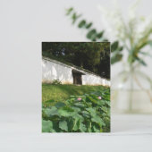 Lotus-Blume im Tempelgraben Postkarte (Stehend Vorderseite)