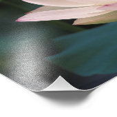 Lotus Blume in Blüten, China Fotodruck (Ecke)