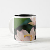 Lotus Blume in Blüten, China Zweifarbige Tasse (Vorderseite Links)