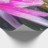 Lotus Blume. Landschaft, Zen Geschenkpapier (Ecke)