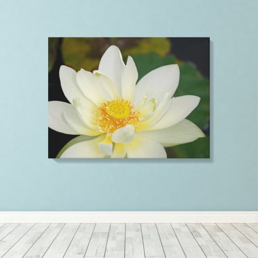 Lotus Blume Leinwanddruck (Insitu (Holzboden))