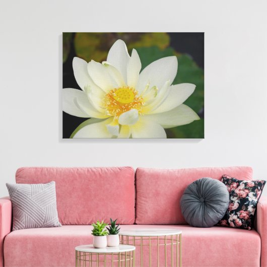 Lotus Blume Leinwanddruck (Insitu (Wohnzimmer))
