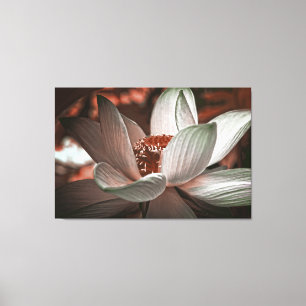 Lotus-Blume Leinwanddruck