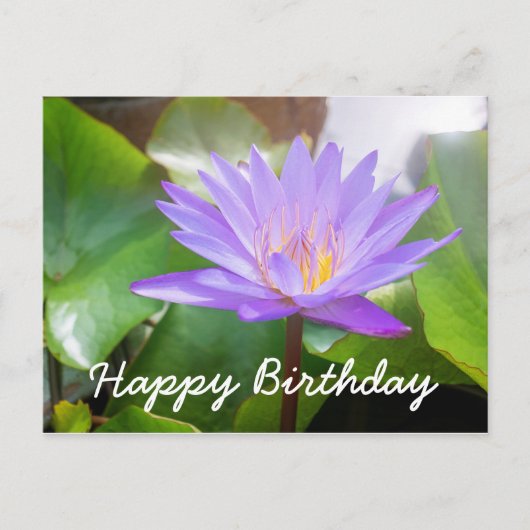 Lotus Blume lila Farbe mit Blätter-Pad Postkarte (Vorderseite)