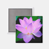 Lotus Blume Magnet (Vorderseite/Rückseite)