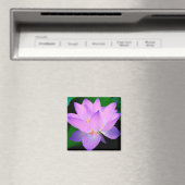 Lotus Blume Magnet (In Situ (Geschirrspüler))