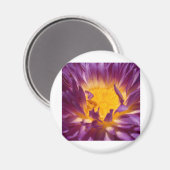 Lotus-Blume Magnet (Vorderseite/Rückseite)