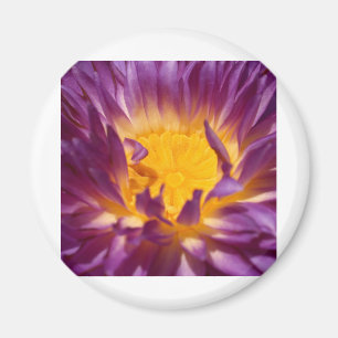 Lotus-Blume Magnet