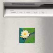 Lotus Blume Magnet (In Situ (Geschirrspüler))