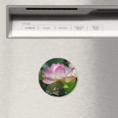 Lotus Blume Magnet (In Situ (Geschirrspüler))