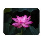 Lotus Blume Magnet (Horizontal)