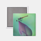 Lotus-Blume Magnet (Vorderseite/Rückseite)