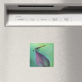 Lotus-Blume Magnet (In Situ (Geschirrspüler))