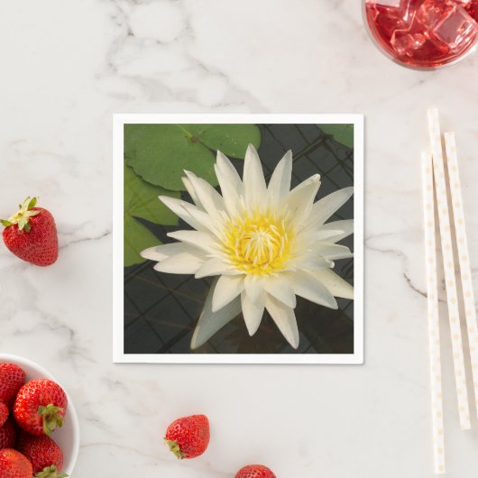 Lotus, Blume, Natur, Blüte, Blumen, Pflanze, Serviette (Beispiel)